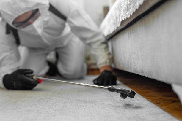 Professional Cockroach Control technician working in Greene County County, NC